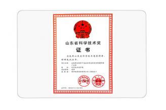 山東省科學技術獎