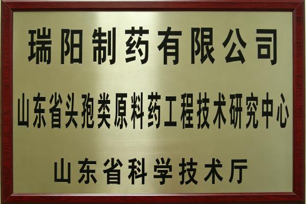 18-山東省頭孢類工程技術研究中心.jpg